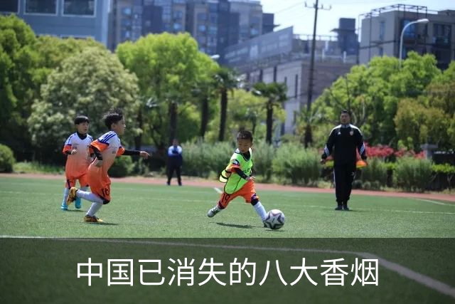 中国已消失的八大香烟
