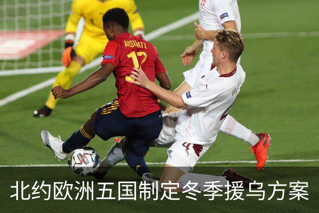 北约欧洲五国制定冬季援乌方案