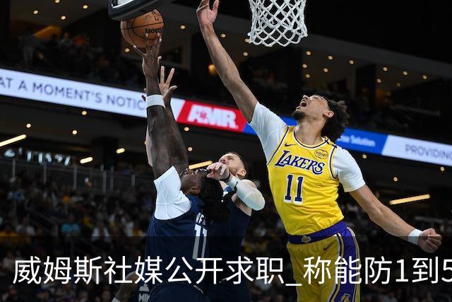 威姆斯社媒公开求职 称能防1到5号位