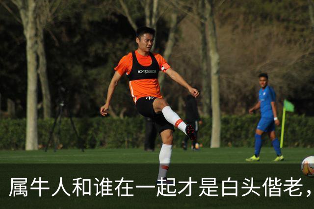 属牛人和谁在一起才是白头偕老，幸福生活到晚年