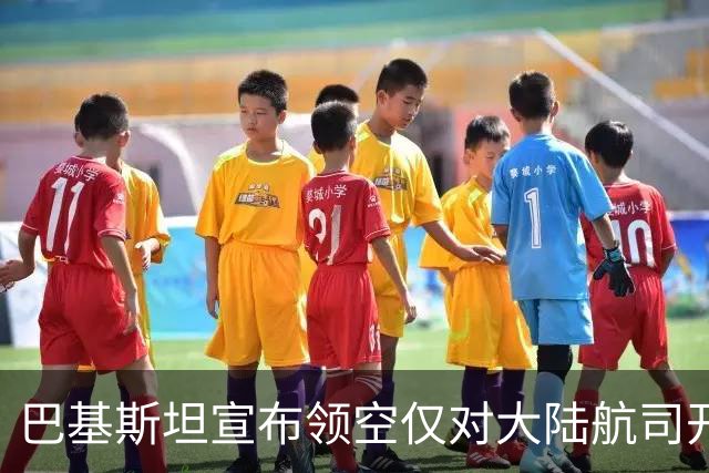 巴基斯坦宣布领空仅对大陆航司开放，台方与印方分别回应