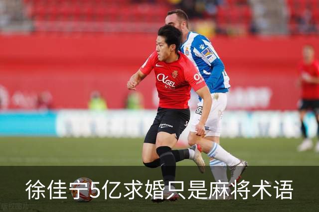 徐佳宁5亿求婚只是麻将术语