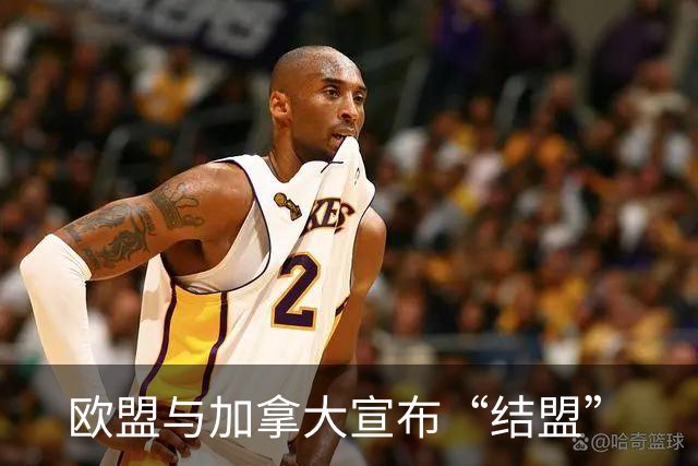 欧盟与加拿大宣布“结盟”