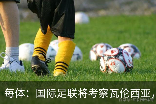 每体：国际足联将考察瓦伦西亚，2030世界杯申办迎转机