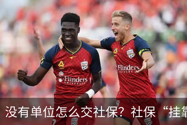 没有单位怎么交社保？社保“挂靠代缴”被查！人事代理、挂靠代缴、灵活就业参保有什么区别？