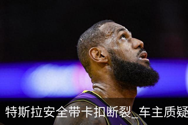 特斯拉安全带卡扣断裂 车主质疑质量缺陷
