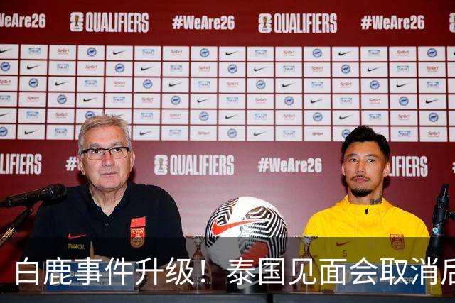 白鹿事件升级！泰国见面会取消后，缅北视频又被扒，黑历史曝光