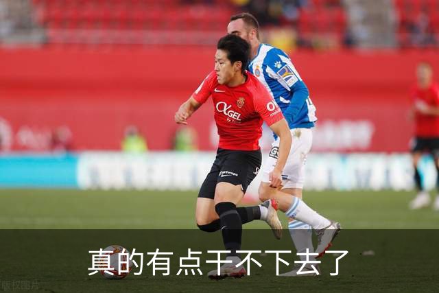 真的有点干不下去了