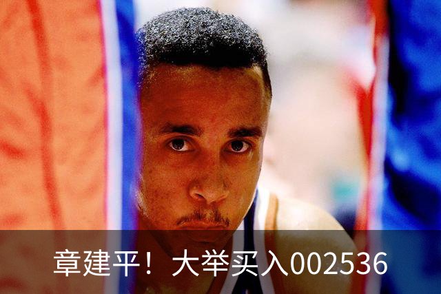 章建平！大举买入002536