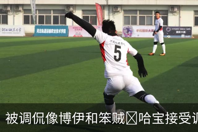 被调侃像博伊和笨贼🤣哈宝接受调侃：一旦接受这个设定😂