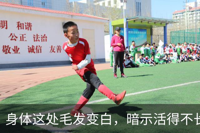 身体这处毛发变白，暗示活得不长？医生提醒：抓紧检查！