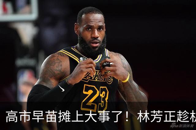 高市早苗摊上大事了！林芳正趁机逼宫高市，要为远大前程撒手一搏